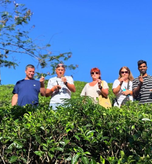 RIU Tours (3)